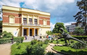 2 milioane exemplare de nevertebrate şi vertebrate (actuale şi fosile) provenind din românia şi din diverse zone geografice, de la ecuator la regiunile polare, sau colectate de la suprafaţa apei şi. ColecÈia De Minerale A Baronului Brukenthal ExpusÄ La Muzeul De Istorie NaturalÄ Eveniment Tribuna