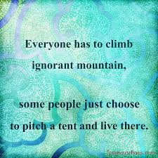Ignore Ignorant People Quotes Quotesgram