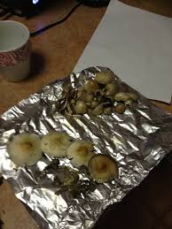 How to say psilocybe in english? First Time Using Psilocybe Cubensis Where Did I Go Wrong The Psychedelic Experience Shroomery Message Board