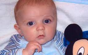 Một bé trai bị 2 con chó nuôi của bà cắn chết