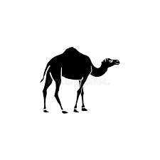 This tool is very convenient to help you preview the symbol, including viewing the details of the symbol display and the effect displayed on the different operating systems, different text editors, different ways to type dromedary camels, usually we do not need to remember how to type the. Camel Symbol Stock Illustrations 7 010 Camel Symbol Stock Illustrations Vectors Clipart Dreamstime
