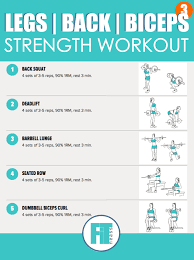 biceps workout with free weights