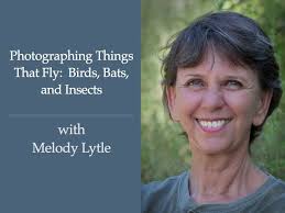 Session 206: Photographing Things Which Fly: Birds, Bats and Insects with  Melody Lytle