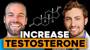 Proven Tools to Optimize Hormones in Males
