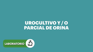 A través de la orina se eliminan del organismo los desechos nitrogenados del metabolismo (urea, creatinina, ácido úrico) y otras sustancias tóxicas. Vida Y Cancer Tv