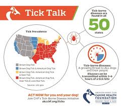 Grasp the tick as close to your dog's skin as possible (without pinching your pet). How To Remove A Tick From Your Dog American Kennel Club