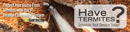 Subterranean termites are difficult to control considering they live beneath the soil. Barnett Pest Solutions Termite Elimination And Prevention