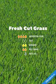 Pin On Www Oilsforabetteryou Com