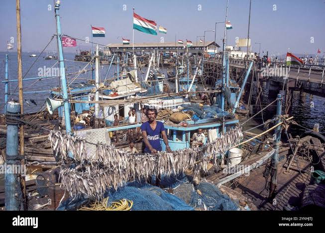 Madras harbour india hi-res stock photography and images - Alamy