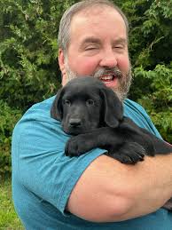 Is your puppy house-trained?