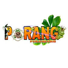 Apa sebenarnya tanaman porang ini? Porang Riau Home Facebook