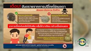 กินยำแมงดาตาย ที่ตราด หลังเอา แมงดาถ้วย มาปรุงอาหาร โดยงาน. à¸ˆà¸ª 100