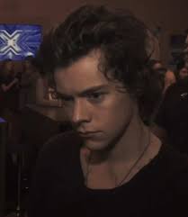 Yes Tracy I Did Harry Styles