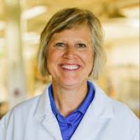 100+ perfiles de «Haselman»