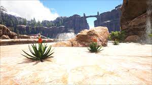 Once you begin your journey in this this should be the first location where you should go to get the cementing paste. Kaktus Bekommen Nach Update Ark Fragen Probleme Diskussionen Ark Forum Atlas Forum Deutsches Forum Fur Ark Survival Evolved Atlas Mmo