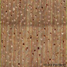 Image result for Antrocaryon nannanii