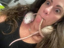 I loved the don't you put it in your mouth and the little rats