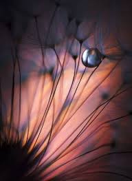 Photography Abstract Nature Inspiration 59 Ideas Abstract Photography Nature Photography Abstract Nature