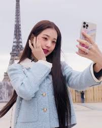 장원영얼싸 | Twitter Video Tools