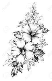 The upward arch symbolizes life and growth. Hand Drawn Hibiscus Flowers With Leaves Isolated On White Background Stock Photo Picture And Royalty Free Image Image 126430791