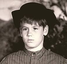 Wagon Train" The Levy-McGowan Story (TV Episode 1962)