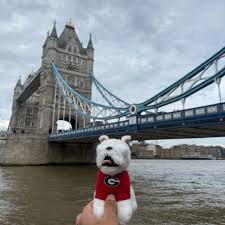 UGA Alumni Association (@ugaalumni) • Threads, Say more