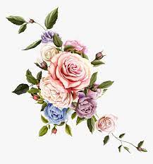 See more ideas about rose art, rose, beautiful flowers. Drawings Of Flowers Rose A Part Of Art