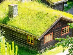 Früher bestanden königreichssäle oft nur aus ein paar pfählen mit einem grasdach. Dachbegrunung Extensiv Intensiv Alle Infos Zum Grundach