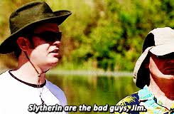 Team Voldemort and Team Gryffindor