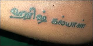 Related news 'pig' star nicolas cage explains how he made an untrained hog 'look at me with love' 16 july 2021 | variety; Harish Kalyan S Sincere Request To Fans After One Of Them Tattoos His Name Tamil News Indiaglitz Com