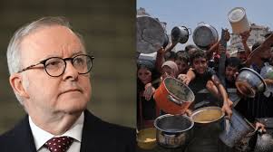 Albanese's 'strongly worded' statements shouldn't fool anyone