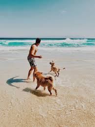 Pet friendly lake house rentals are not hard to find if you pick orlando, florida for your next vacation destination, just check out the selection we have, these cabins in north florida and beach house rentals in florida are everything you need. Pet Friendly Florida Vacation Rentals Vrbo