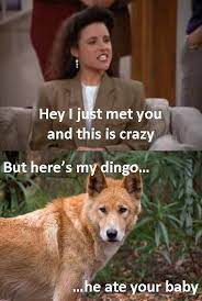 Dingo Ate Your Baby Call Me Maybe Know Your Meme