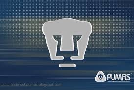 We did not find results for: Pumas Wallpapers Wallpaper Cave