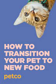 How To Transition Your Dog Or Cat To A New Food Petco Cute Baby Puppies Food Animals Pets