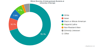 University Of Georgia Diversity Racial Demographics Other