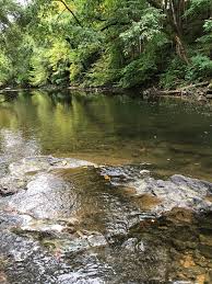 This is an early 70's photo. Notice the close proximity of the cattle with  the stream, also some in the stream. That is no longer condoned because of  today's environmental standards. Comments
