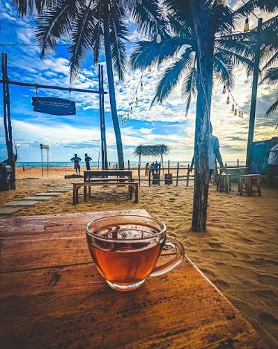 Best Coastal Burgers in TVM 🍔🌊