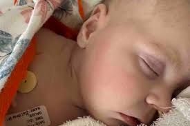 Fundraiser for Kayla Regan by Julie Toole : Oakley's Battle with Leukemia