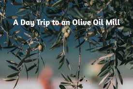 A Day Trip To An Olive Oil Mill With Your Own Car On Your Own Car