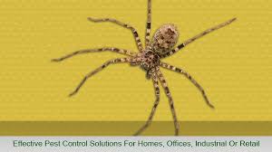 I consider confidentiality of private information part of commitment in doing business. Apex Pest Pest Control Hornsby