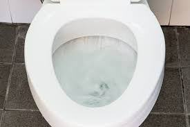 We did not find results for: Why You Shouldn T Use Drano In Your Toilet Pippin Ok