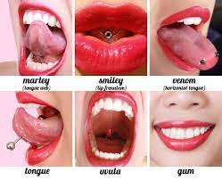 Types Of Piercings And Their Names Mouth Piercings Face Piercings Facial Piercings