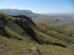 Image result for Sebaea sedoides