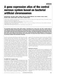 This pipeline is designed to generate an atlas of the spinal cord based on electron microscopy images. Http Lab Rockefeller Edu Chait Pdf 03 Gong Nature Pdf