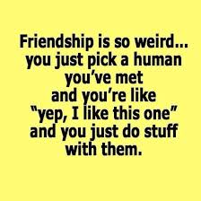 Top 40 Very Funny Friendship Quotes Best Friendship Quotes Friendship Quotes Funny Best Friend Quotes