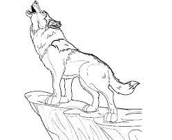 Er gilt als die natürliche bösewichte der tierwelt, wölfe werden von allen gefürchtet. Die 7 Beste Wolf Ausmalbilder Schule Und Kinder