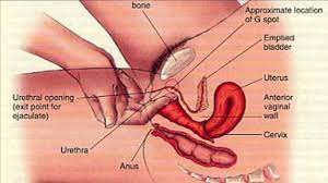 Where is the g spot. Jua Jinsi Ya Kusugua G Spot Ya Mwanamke Yaani Hadi Alie Kama Mtoto Mdogo Raha Za Kitandani