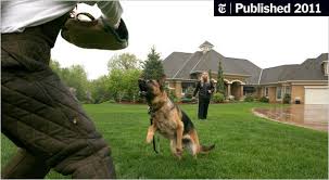 Our german shepherds are akc registered, healthy, and just simply beautiful full blooded german. For The Executive With Everything A 230 000 Dog To Protect It The New York Times