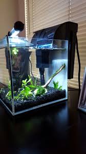 20 Gal Aqueon Filter Customized Impeller With Internal Heater On A 2 11 Gallon Aquatop Rimless Aquarium Cycling A New Home For A Single Pea Puffer Fi Acuario
